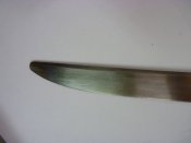 -0876.jpg