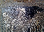 IMG_20160920_081046.jpg