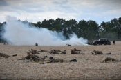 DSC_3727.JPG