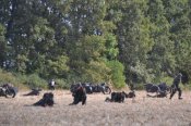 DSC_0870.JPG