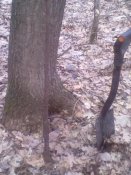 28032011142.jpg