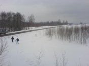 DSC00031.jpg