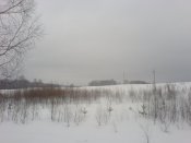 DSC00032.jpg