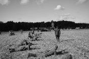 DSC_3002.jpg