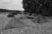 DSC_3203.jpg
