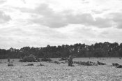 DSC_3836.jpg