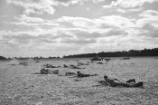 DSC_3842.jpg