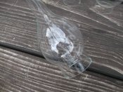 DSCF4567.JPG