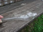 DSCF4571.JPG