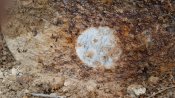 20160924_160912.jpg