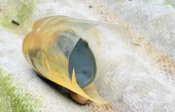 DSC_4178.jpg