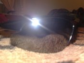 31032011204.jpg