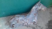 20160820_144239.jpg