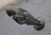 CIMG2215.JPG