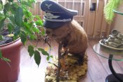 Изображение 001.jpg