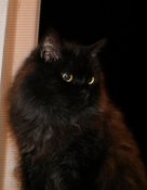 Изображение 010.jpg