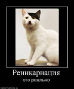 3c2d7be61f.jpg