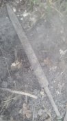 IMG_20160927_124714.jpg