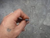 DSC08546.JPG
