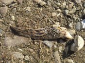 20160926_161604.jpg