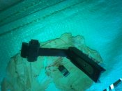 IMG_20160928_115035.jpg