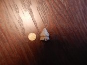 DSCN9121.JPG