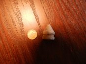 DSCN9122.JPG
