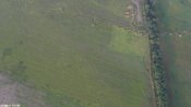 14468474_152793375_o.jpg