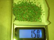 IMG0137A.jpg