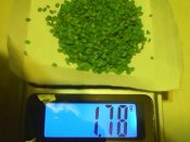 IMG0146A.jpg