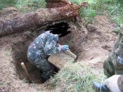 доки 262.jpg