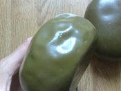 040820112143.jpg