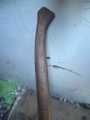 DSC07645.JPG