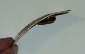 DSC00711.JPG