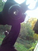 IMG_20161001_134512.jpg