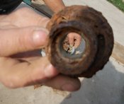DSCN4442.jpg