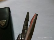 IMG_20161001_144755.jpg