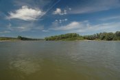 DSC_8061.jpg