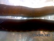 IMG033.jpg