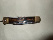 DSCF9145.JPG