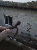 20161002_182915.jpg