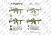 ATACS 1.jpg