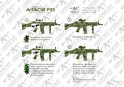 ATACS 2.jpg