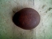 IMG_20161004_132316.jpg