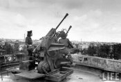 flak_tower2cm.jpg