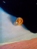 IMG_20161005_080214.jpg