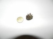DSCN9221.JPG