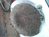 20161005_172014.jpg
