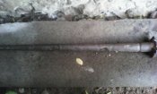 IMG-20161029-WA0003.jpg