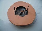 1141301.thumb.jpg